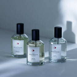 【数量限定】ESTEBAN&GEODESIS 特別セット