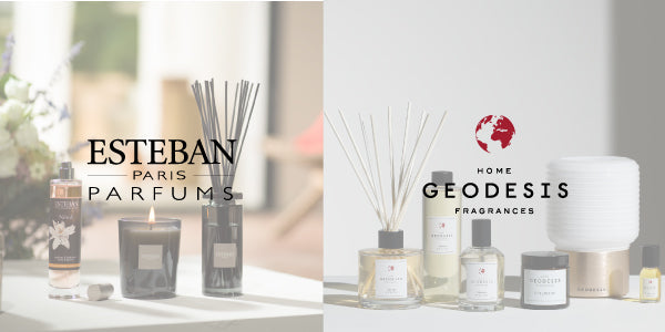 ESTEBAN/GEODESIS サイト統合のお知らせ