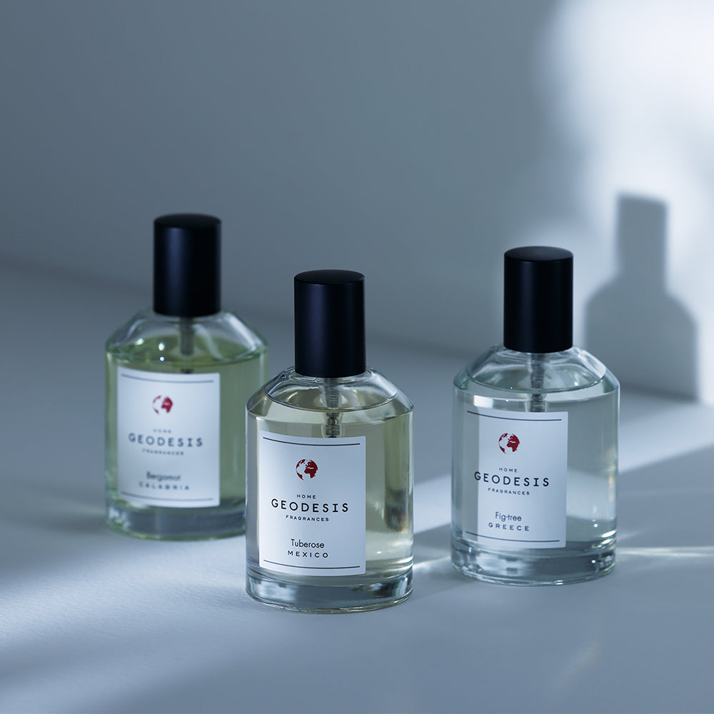 【数量限定】ESTEBAN＆GEODESIS 特別セット