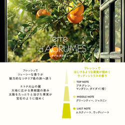 テール ダグリューム ルームスプレー75ml